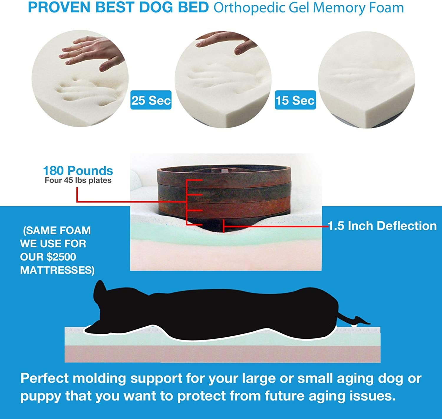Big Dog Orthopedic 7