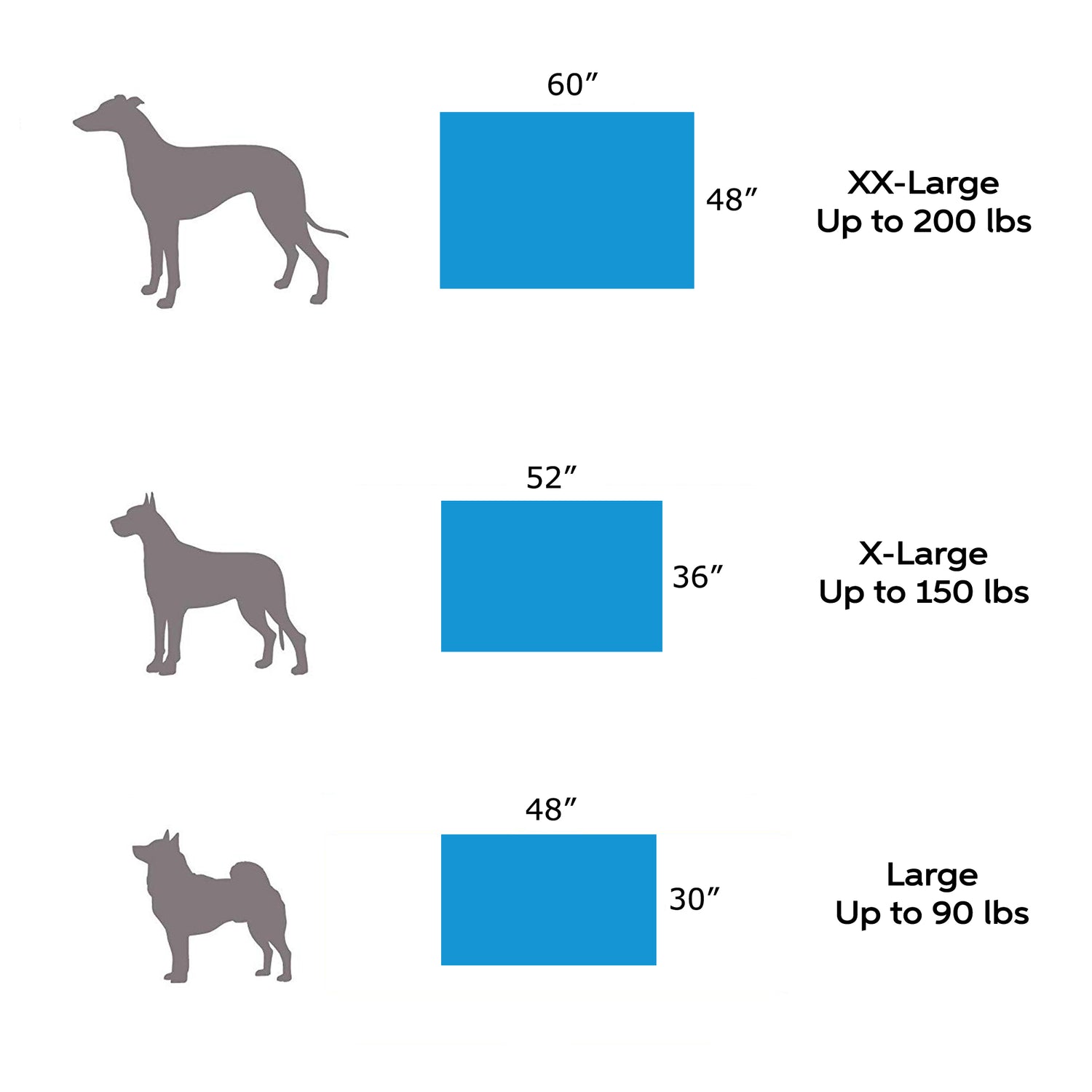 Big Dog Orthopedic 7