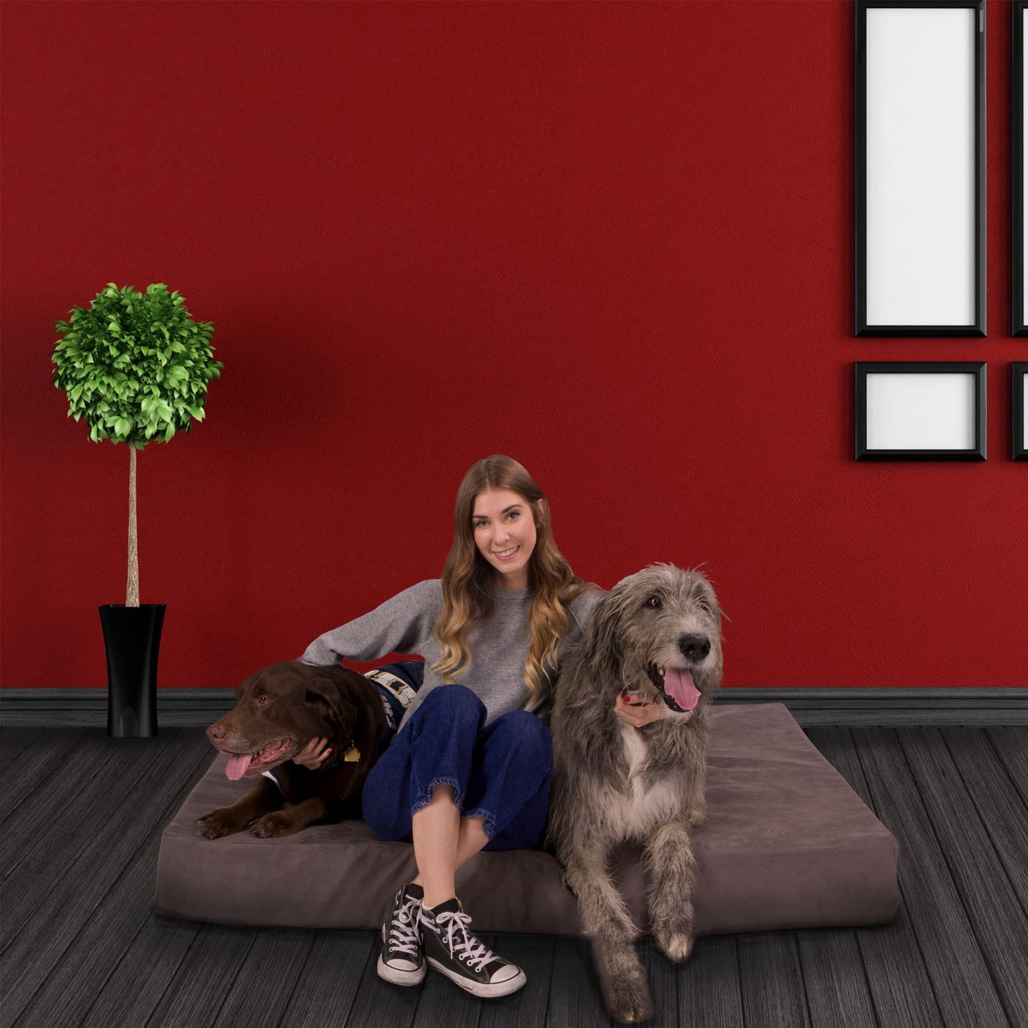 Big Dog Orthopedic 7