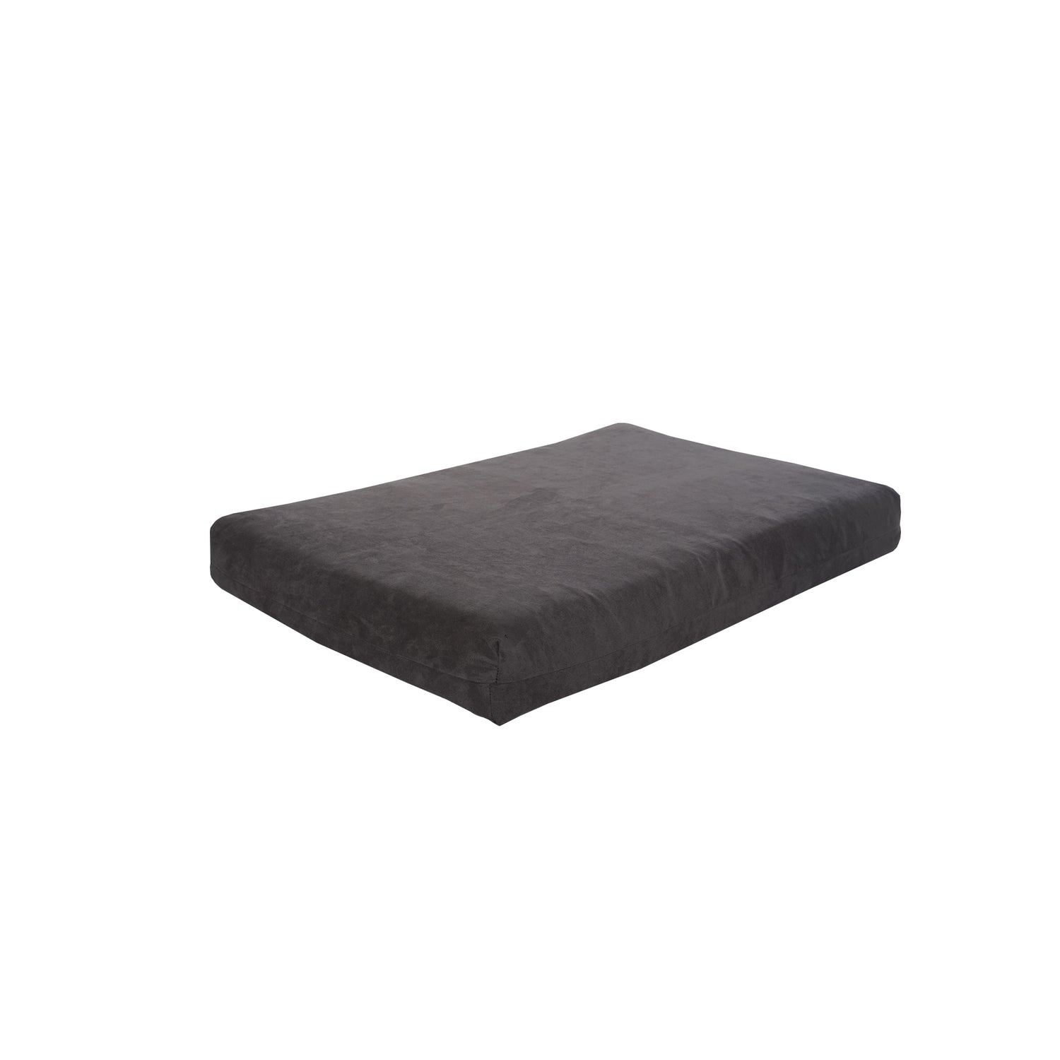 Big Dog Orthopedic 7