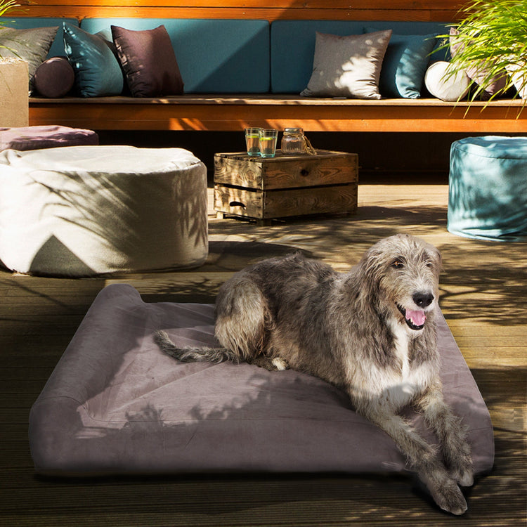 Lucky Dog Orthopedic 7" Memory Foam Dog Bed with Bolster