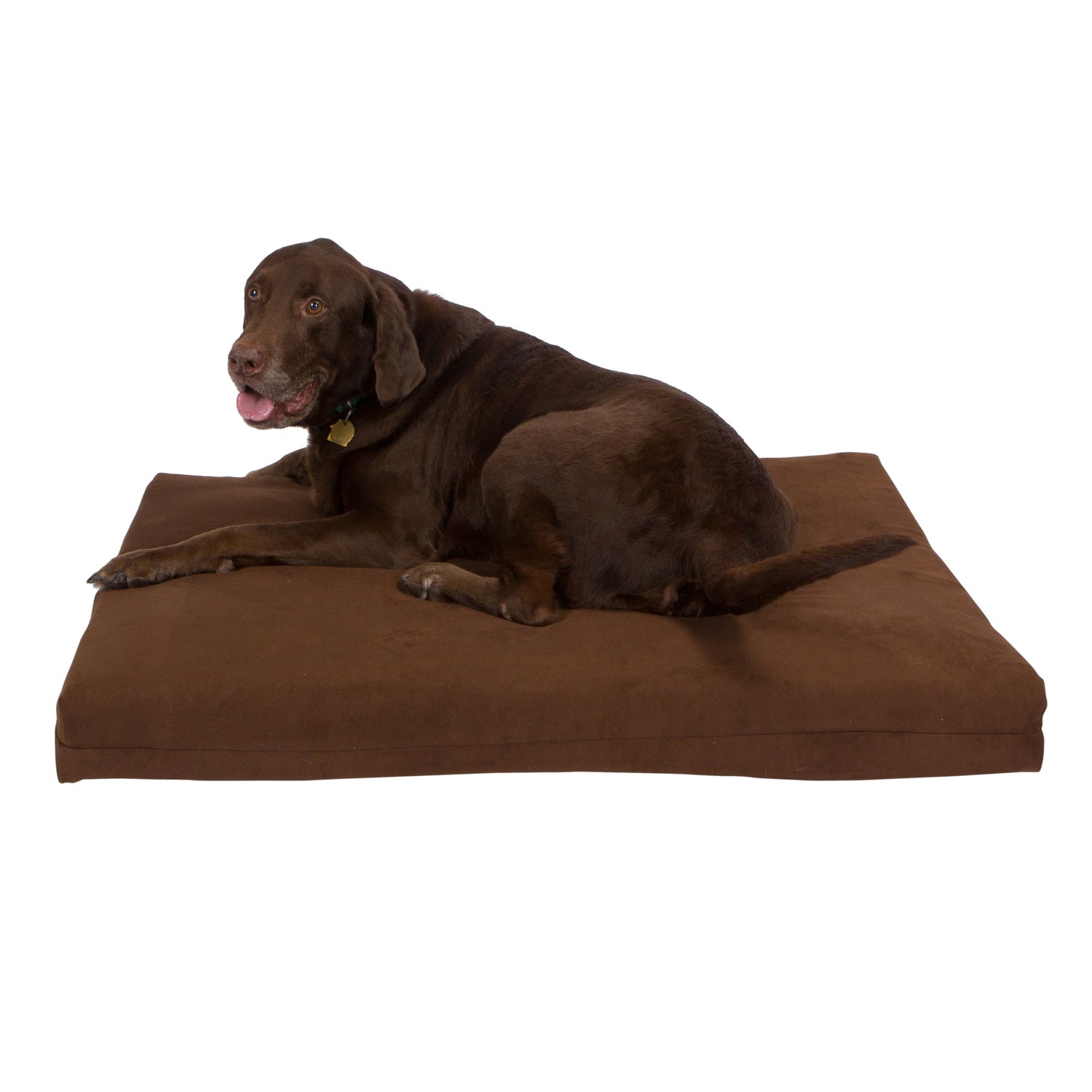 A large brown dog lies on the Orthopedic Memory Foam Dog Bed, looking back at the camera with its mouth slightly open. The background is plain white.