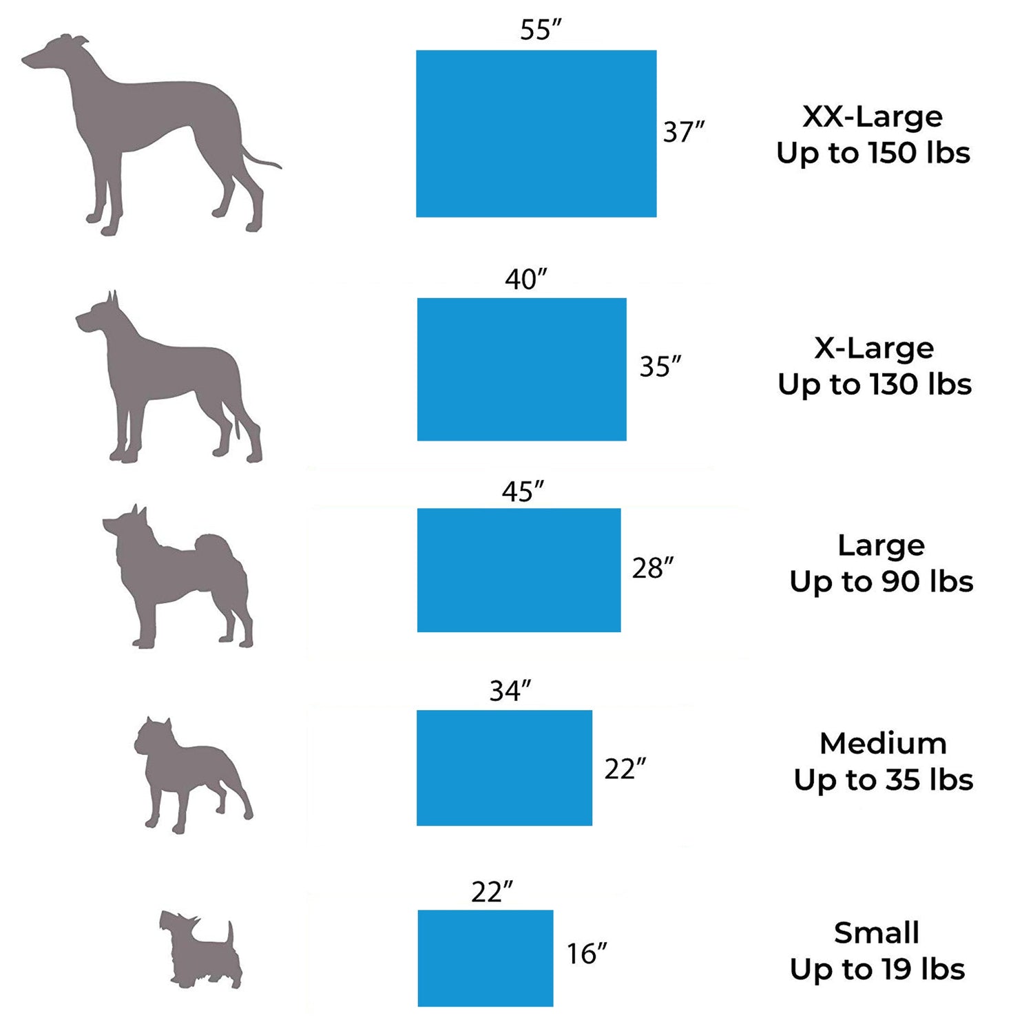 Chart displaying dog size categories (Small to XX-Large) with silhouettes, bed dimensions, and weight ranges from up to 19 lbs to 150 lbs—ideal for selecting the right Orthopedic Memory Foam Dog Bed for arthritis relief.