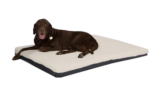 5 Reasons Why You’ll Love Our Organic Dog Beds