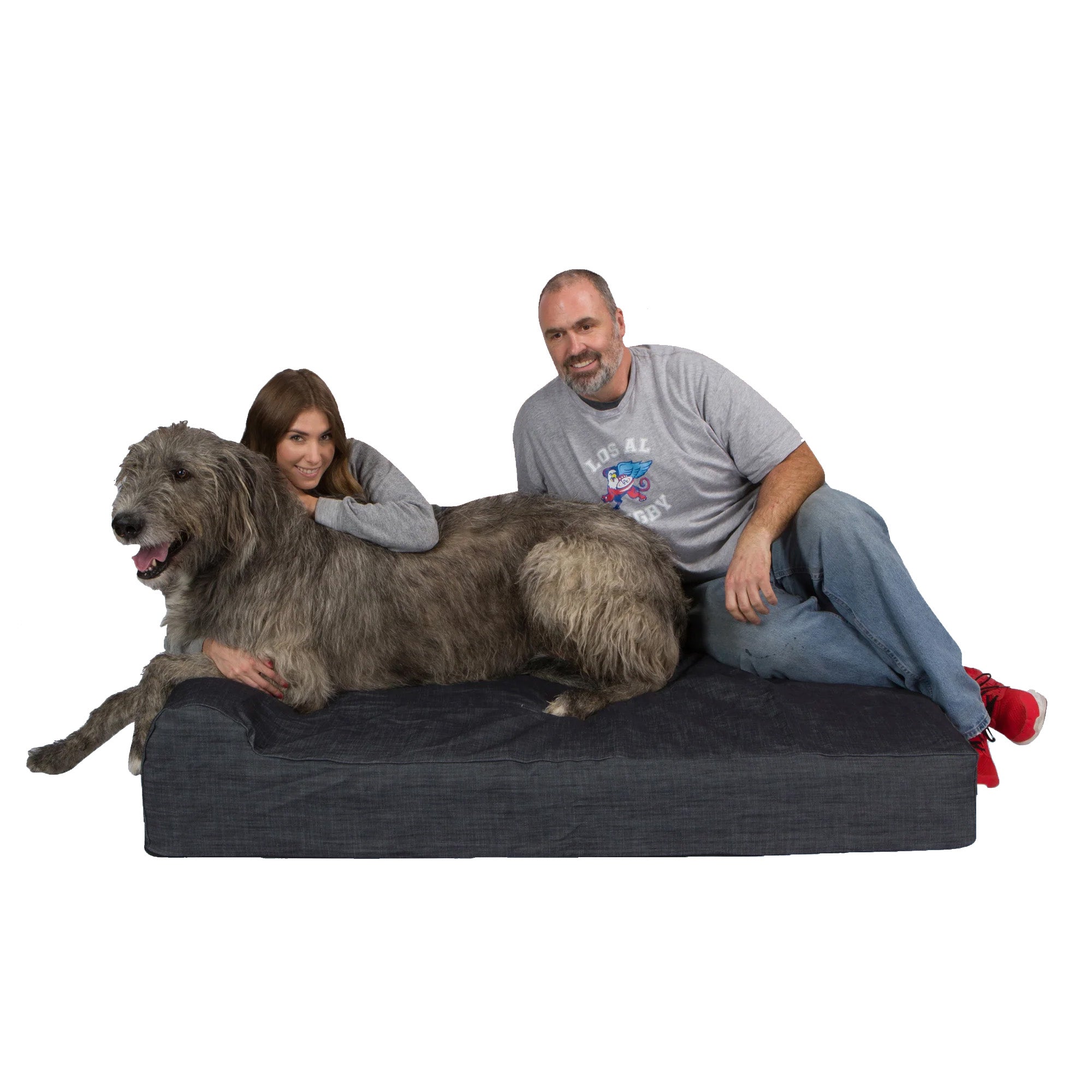 Dog Beds