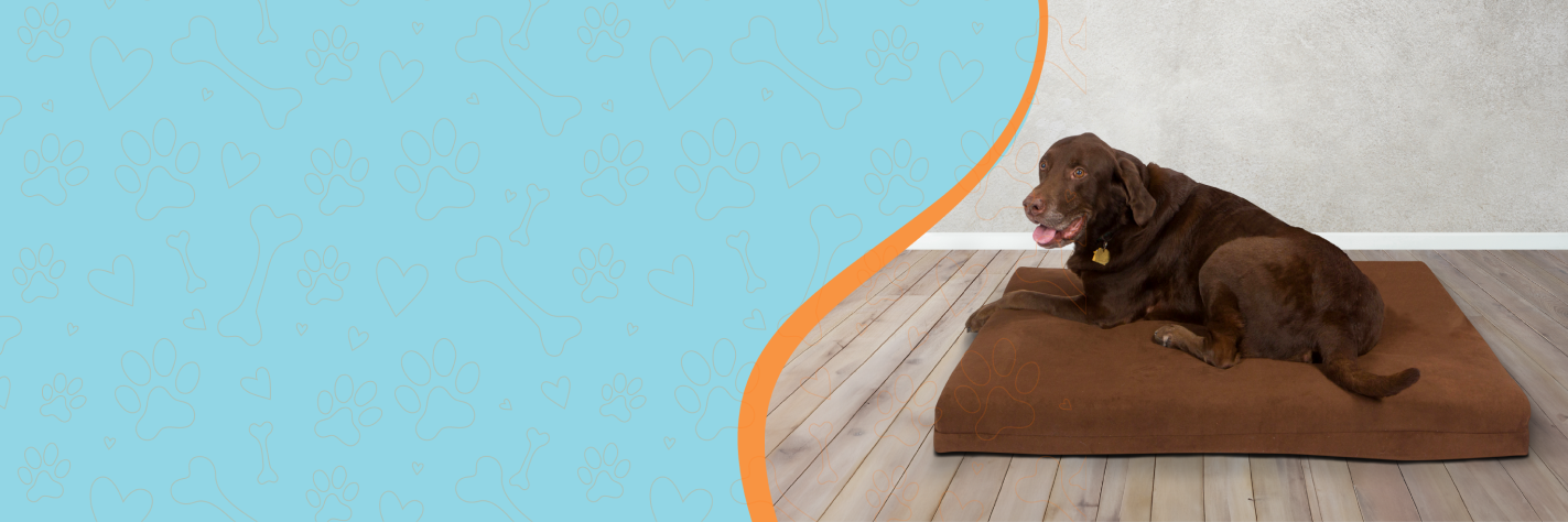 Big barker dog clearance bed coupon