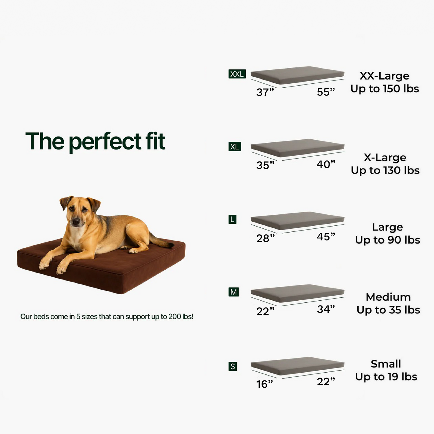 A brown and tan dog lounges on a Snooz Dog Bed, a rectangular orthopedic bed in five sizes: XXL (37x55