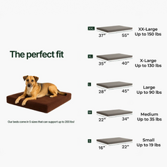 A brown and tan dog lounges on a Snooz Dog Bed, a rectangular orthopedic bed in five sizes: XXL (37x55", up to 150 lbs), XL, L, M, and S—perfect for dogs of all ages and needs.