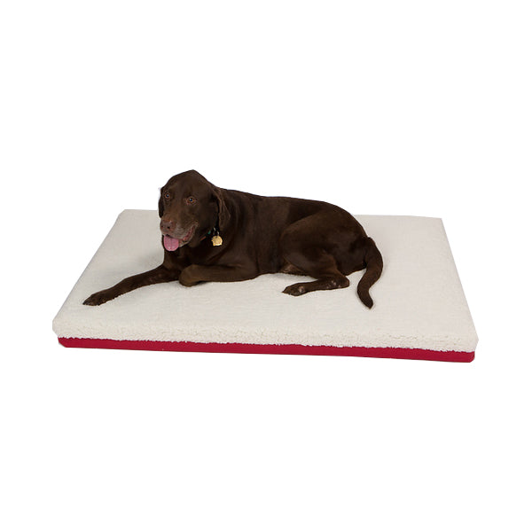 100% Natural Materials Orthopedic Dog Bed